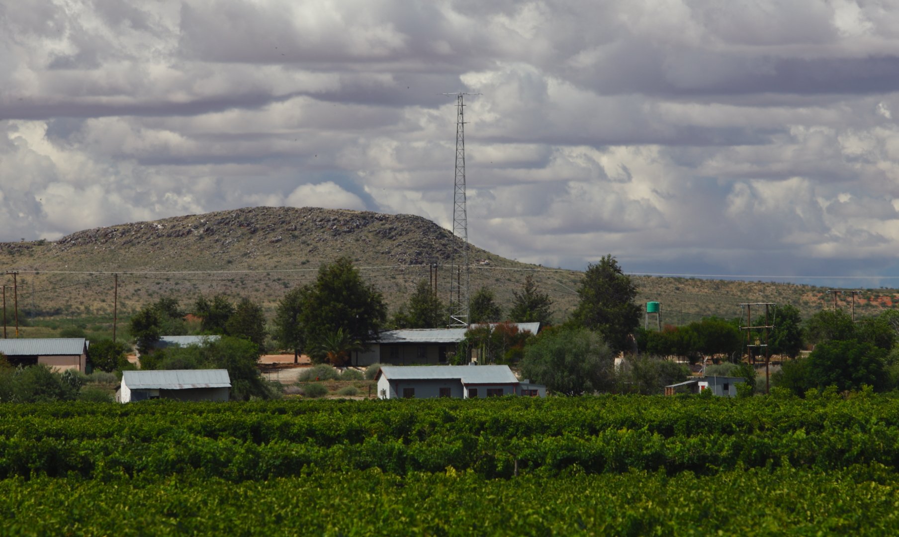 photo from 2012? toward the tower from app. 1km away